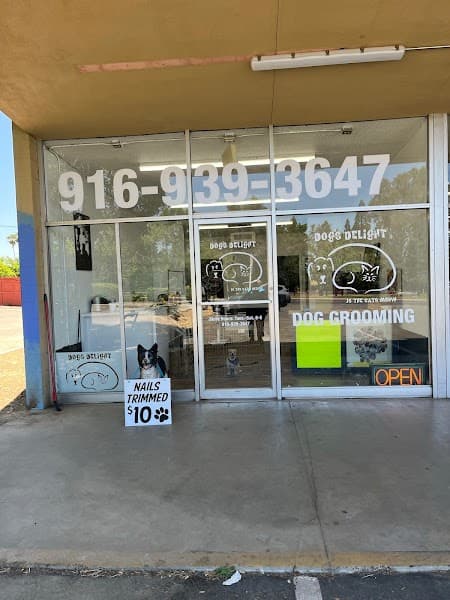 Dogs Delight - Pet Grooming in Folsom image 3