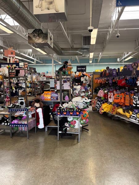 Petco Grooming image 2