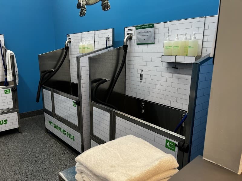 Pet Supplies Plus Gold River image 2