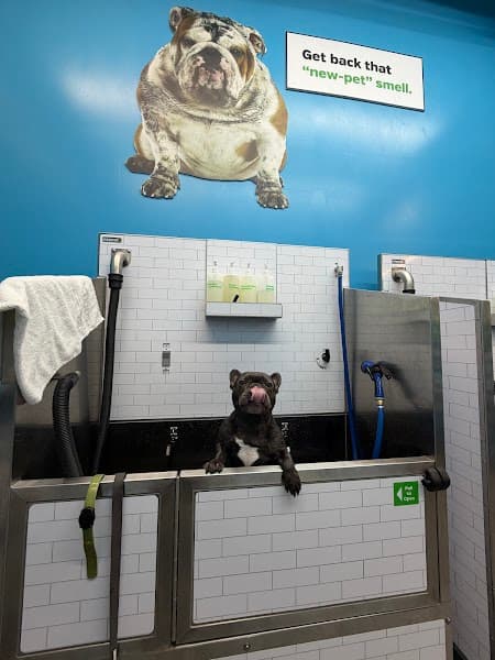 Pet Supplies Plus Gold River image 5