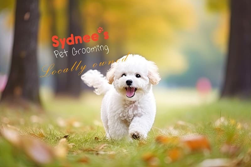 Sydnee's Pet Grooming - Pet Grooming in Davis image 1