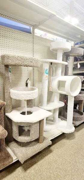 PetSmart Grooming image 4