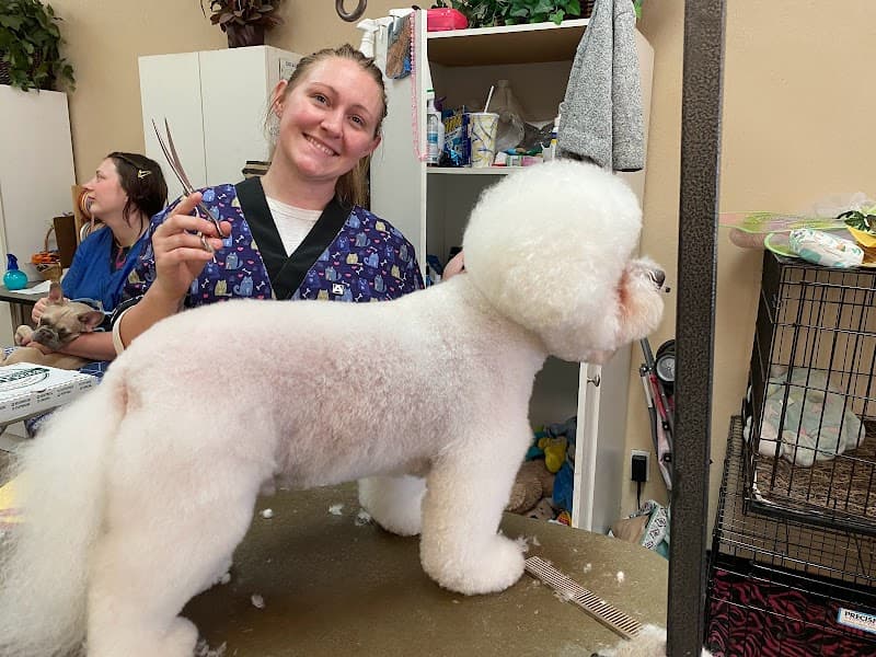 Gentle Touch Pet Salon image 2