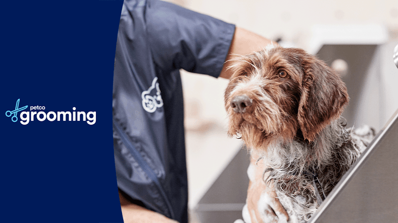 Petco Grooming image 1