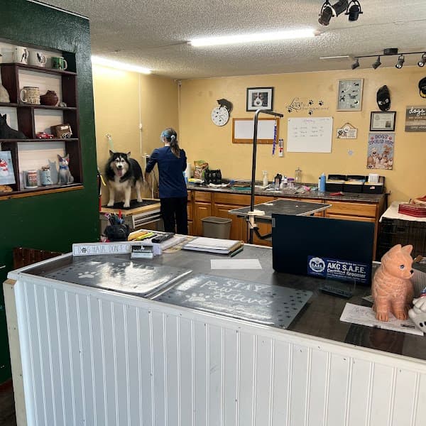 JB Grooming, LLC - Pet Grooming in Placerville image 1