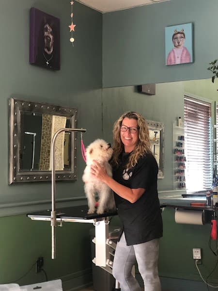 Dog Wash of Tahoe image 2