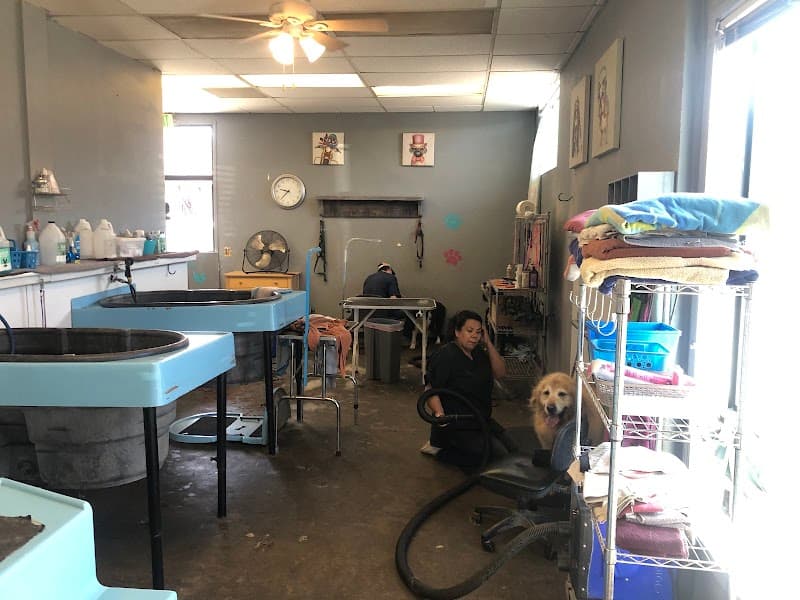 Dog Wash of Tahoe image 4