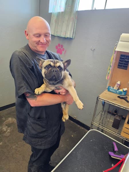 Dog Wash of Tahoe image 5