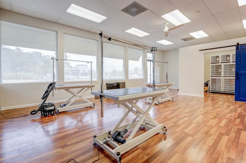 Best In Show - Pet Grooming & Boutique image 1