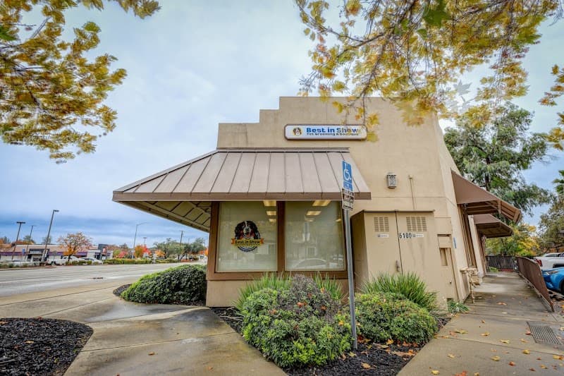 Best In Show - Pet Grooming & Boutique image 2