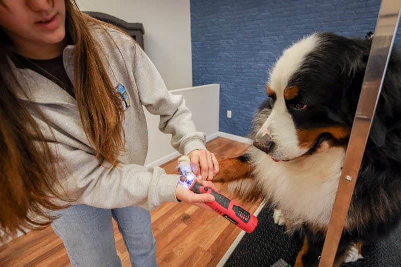 Best In Show - Pet Grooming & Boutique image 3