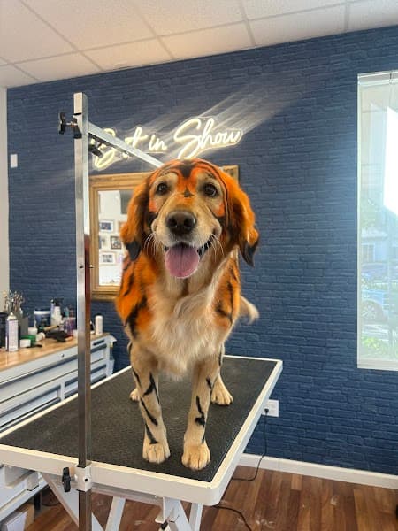 Best In Show - Pet Grooming & Boutique image 4