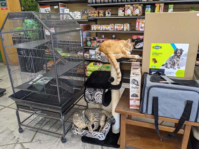Pets To Go image 3