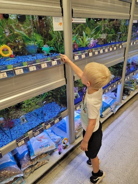 PetSmart Grooming image 2