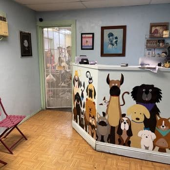 Noah's Ark Dog & Cat Grooming image 3