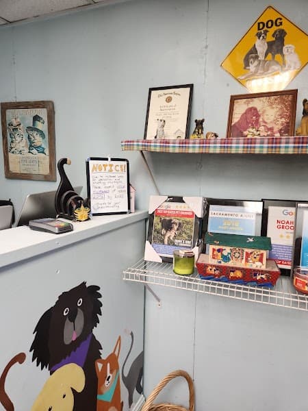 Noah's Ark Dog & Cat Grooming image 4