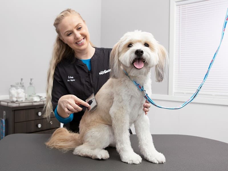 PetSmart Grooming image 3