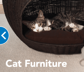 PetSmart Grooming image 5