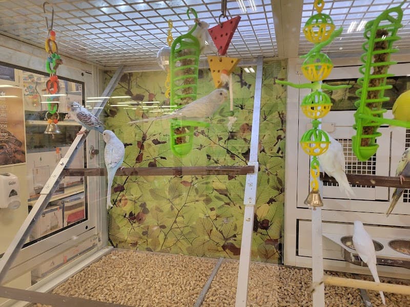 PetSmart Grooming image 1
