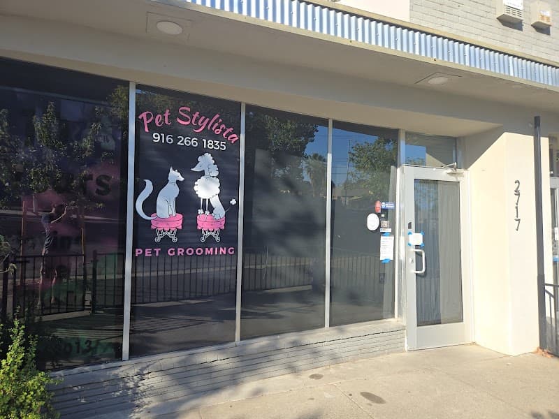 Pet Stylista image 2