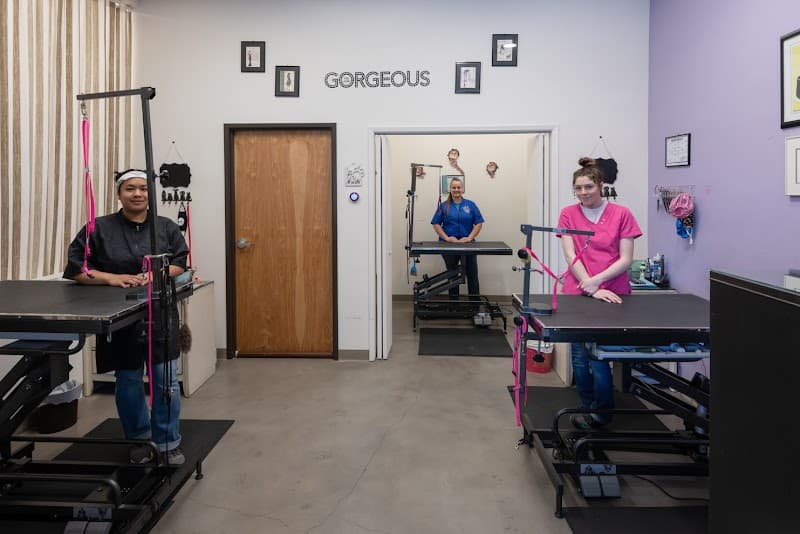 Pet Stylista image 3