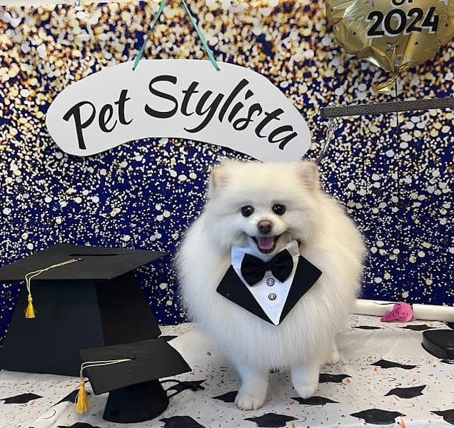Pet Stylista image 5
