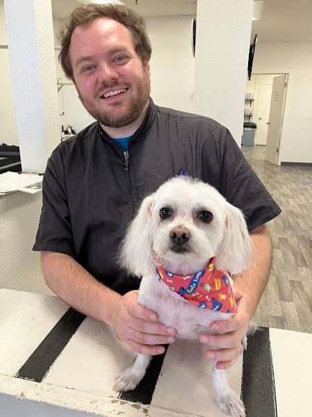 Poodle Nook Pet Grooming image 3